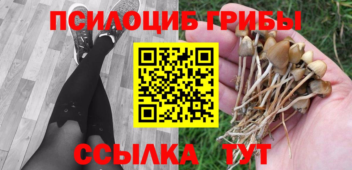 Псилоцибиновые грибы GOLDEN TEACHER Тюмень