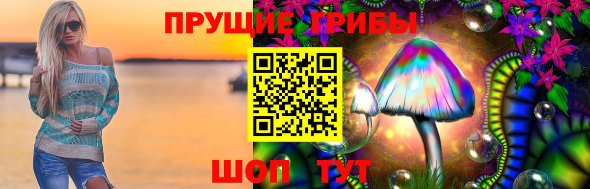 Псилоцибиновые грибы Magic Shrooms  Вход с VPN  Тюмень  Псилоцибиновые грибы GOLDEN TEACHER 